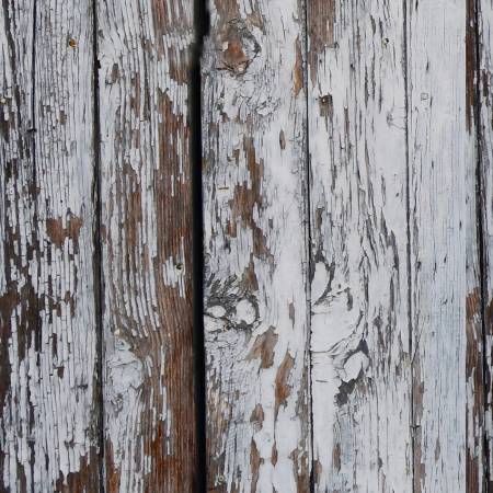 Tree Farm Gray by Hoffman California Fabrics Digital Print Cotton Quilting Fabric