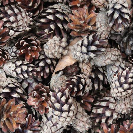 Tree Farm Russet by Hoffman California Fabrics digital print cotton quilting fabric