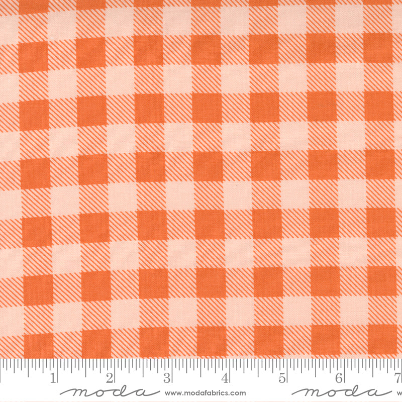 Make Time Stitching Sampler Check Strawberry by Moda Fabrics