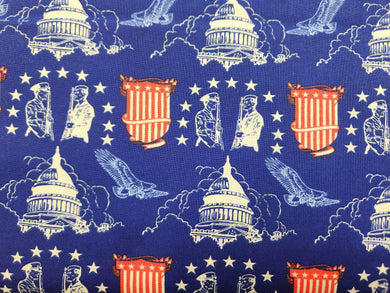Capitol and Patriots on Blue