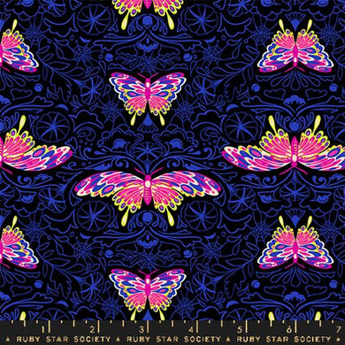 Glow Garden Morning Moth Black by Sarah Watt for Ruby Star Society