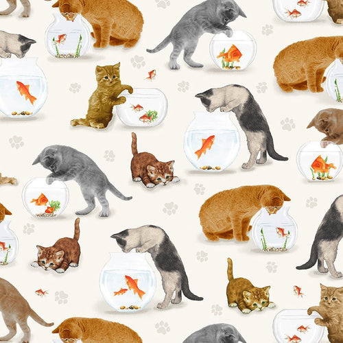 Cream Cats & Fishbowl