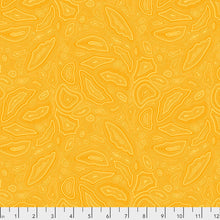 Simple Streamers Quilt Kit Box
