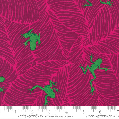 Jungle Paradise Oh Froggy Magenta by Moda