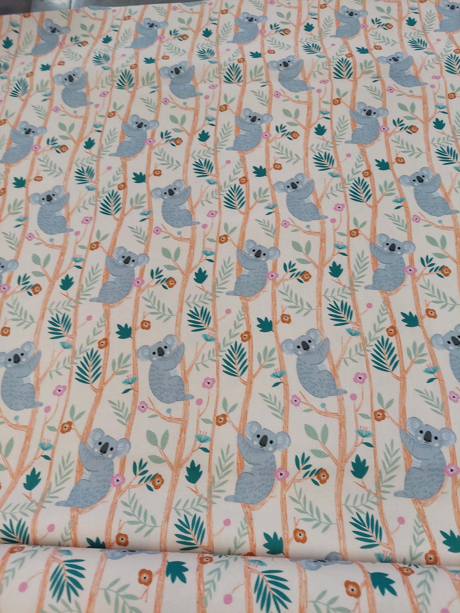 Dashwood Our Koala Bamboo Stitch