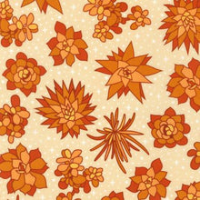 Sunroom Strip Roll