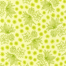 Sunroom Strip Roll