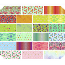 Tula Pink Daydreamer Fat Quarter Bundle