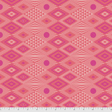 Tula Pink Daydreamer Fat Quarter Bundle