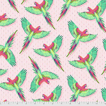 Tula Pink Daydreamer Fat Quarter Bundle