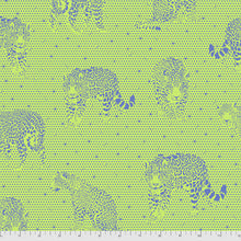 Tula Pink Daydreamer Fat Quarter Bundle